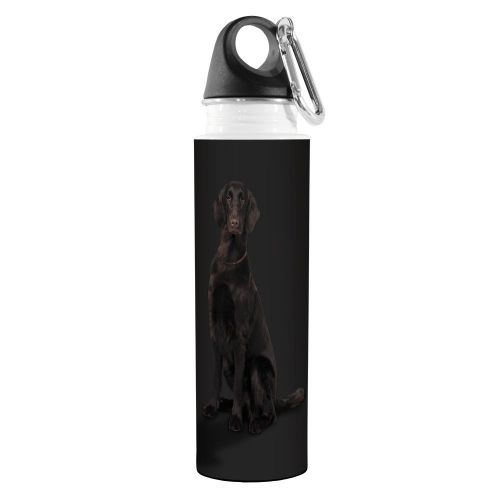  Tree-Free Greetings VB49052 I Heart Flat-Coated Retrievers Artful Traveler Stainless Water Bottle, 18-Ounce