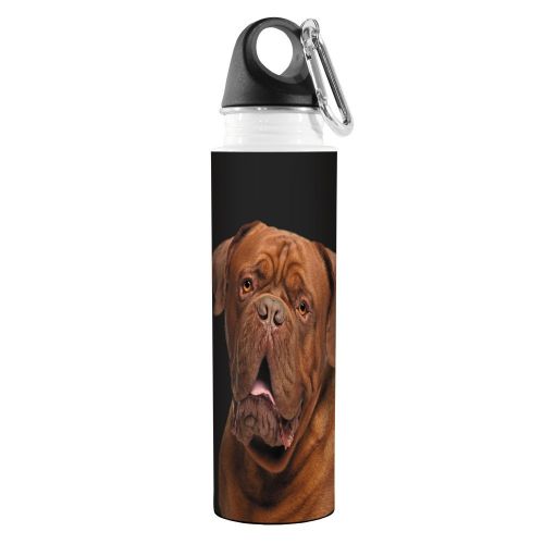  Tree-Free Greetings VB49043 I Heart Dogues de Bordeaux Artful Traveler Stainless Water Bottle, 18-Ounce