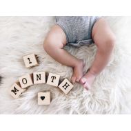 TreeFortToys Baby Age Blocks - Baby Month Blocks - Milestone Blocks - Baby Gift - Baby Shower Gift - Wood Baby Blocks - Baby Photo Prop - Pregnancy Gift