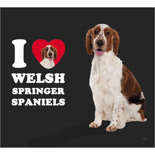  Tree-Free Greetings VB49138 I Heart Welsh Springer Spaniels Artful Traveler Stainless Water Bottle, 18-Ounce