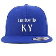 Trendy Apparel Shop Louisville KY Embroidered Flatbill Snapback