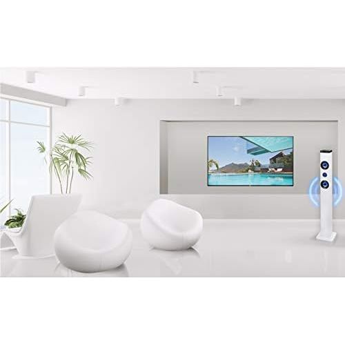  [아마존베스트]-Service-Informationen Trevi XT 101 BT Soundtower Speaker with FM Radio Bluetooth MP3 USB SD Aux-In White