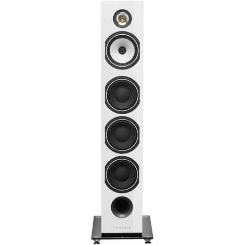  Triangle Esprit Australe Ez Hi-Fi Floor Standing Speakers (White High Gloss, Pair) Bundle (2 Items)