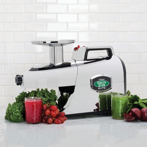  Tribest GSE-5050 Greenstar Elite, Cold Press Complete Masticating Slow Juicer with Jumbo Twin Gears