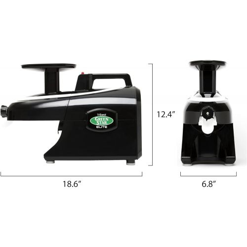  [아마존베스트]Tribest GSE-5010 Greenstar Elite Masticating Juicer, Black