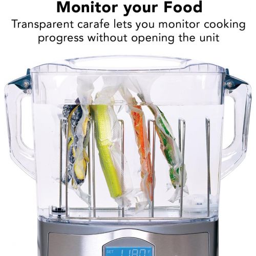  Tribest Sousvant SV-101 Complete Sous Vide Circulator, Silver