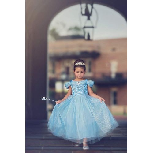  Trish Scully Child Queen of The Kingdom Princess Dress Costume (Blue) (5 Years)