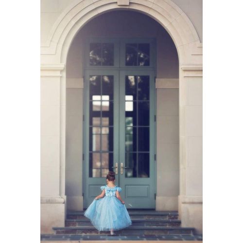  Trish Scully Child Queen of The Kingdom Princess Dress Costume (Blue) (5 Years)