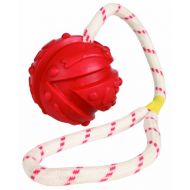 [아마존핫딜]Trixie 33482 Ball am Seil, Naturgummi, schwimmt, oe 7/35 cm