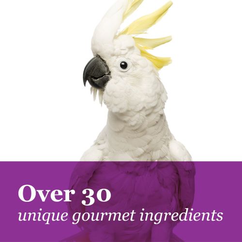  F.M. Browns Tropical Carnival Gourmet Macaw Food Big Bites for Big Beaks, Vitamin-Nutrient Fortified Daily Diet with Probiotics for Digestive Health