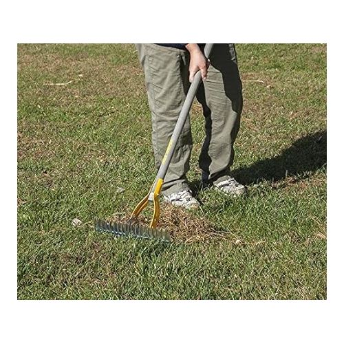  The AMES Companies 2914000 True Temper Thatch Rake -, 15