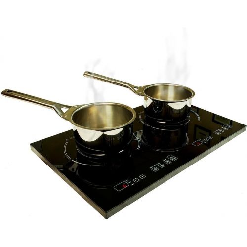  True induction Cooktop -Wolfe induction cookware True Induction 2 burner portable cooktop with 5 pc induction cookware