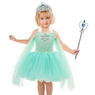 Tsyllyp Anna Elsa Princess Snowflake Tutu Dress for Girls Birthday Party Halloween Costume Outfit with Tiara Wand Set