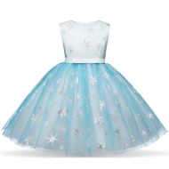 Tsyllyp Girls Princess Party Tutu Dress Elsa Costume Halloween Gown