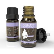 Two Scents Rosemary Camphor Type Essential Oil - 100% Pure & Natural Premium Therapeutic Grade Oil - Use for Nebulizer, Ultrasonic Diffuser, Skin, Perfume, Lip Balm,...