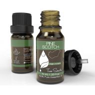 Two Scents Pine Scotch Essential Oil - 100% Pure & Natural Premium Therapeutic Grade Oil - Use for Nebulizer, Ultrasonic Diffuser, Skin, Perfume, Lip Balm, Fragrance, Moisturizer,