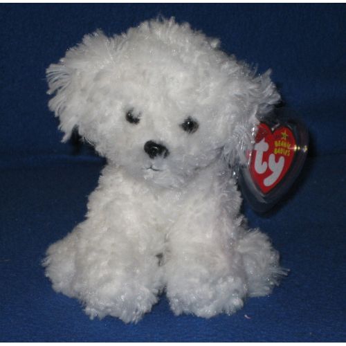  Ty TY LOLLIPUP the BICHON FRISE DOG BEANIE BABY - MINT with MINT TAGS