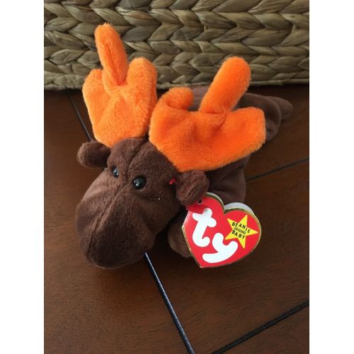  Ty TY 1993 Chocolate The Moose Beanie Baby