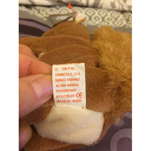  Ty Beanie Babies Ty Beanie Baby Nuts - MWMT ERRORS (Squirrel 1996), Teeny Beanie Baby Included