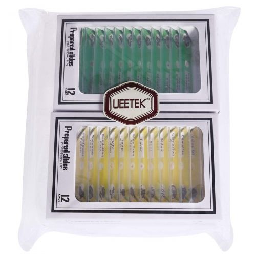  [아마존베스트]Ueetek Prepared Slides Pack of 48, 4 Colours Biological Sample Insects Animals Plants Sample Stereo Microscopes Object Slides for Children Scientific Education for Children