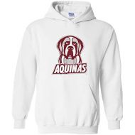 UGP Campus Apparel NCAA Officially Licensed College - University Team Color Primary Logo Hoodie