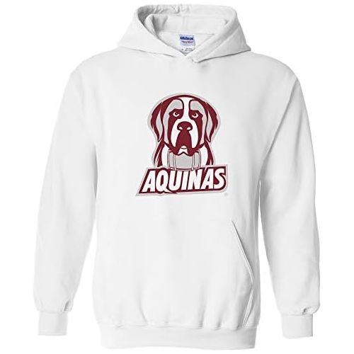  UGP Campus Apparel NCAA Officially Licensed College - University Team Color Primary Logo Hoodie