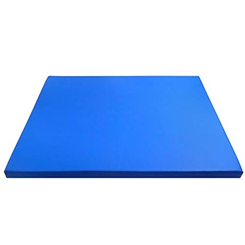  ULTNICE 1Pc Sole Pad Sponge Sterilizer Floor Mat for Livestock Farms (Blue)