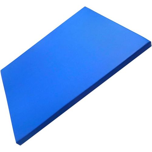  ULTNICE 1Pc Sole Pad Sponge Sterilizer Floor Mat for Livestock Farms (Blue)