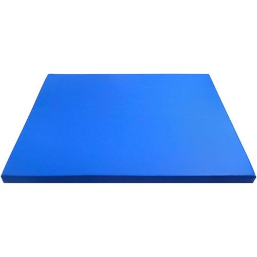  ULTNICE 1Pc Sole Pad Sponge Sterilizer Floor Mat for Livestock Farms (Blue)