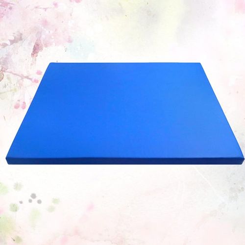  ULTNICE 1Pc Sole Pad Sponge Sterilizer Floor Mat for Livestock Farms (Blue)