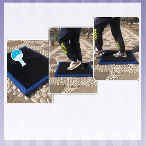  ULTNICE 1Pc Sole Pad Sponge Sterilizer Floor Mat for Livestock Farms (Blue)