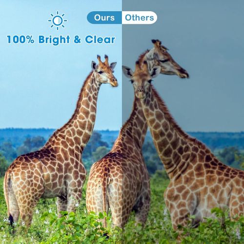  [아마존베스트]UNEGROUP Binoculars for Adults and Kids, 10x42 HD Low Light Vision Compact Binocular, Waterproof Lightweight Binocular Prism FMC BAK4 for Bird Watching Sports Games with Smartphone