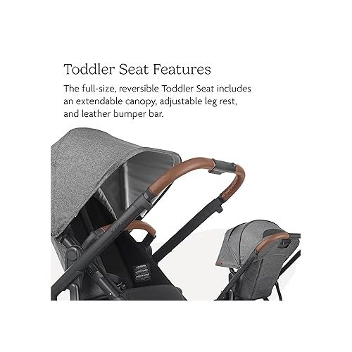  UPPAbaby Vista V2 Stroller/Convertible Single-to-Double System/Bassinet, Toddler Seat, Bug Shield, Rain Shield, and Storage Bag Included/Theo (Dark Taupe/Silver Frame/Chestnut Leather)