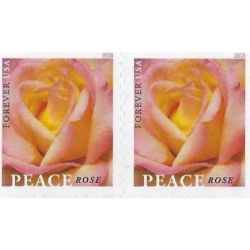  Peace Rose USPS Forever Stamp (10 Booklets (200 Stamps))