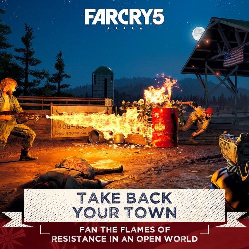  Far Cry 5, Ubisoft, PlayStation 4, 887256028824