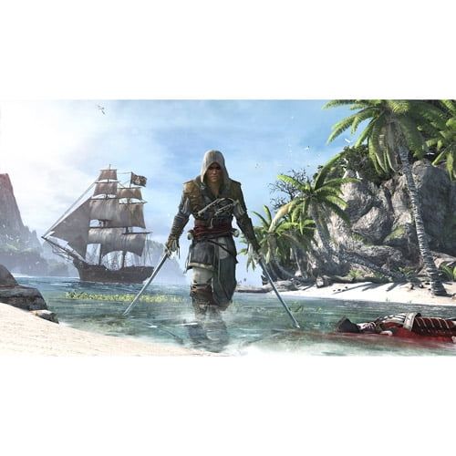  Assassins Creed IV: Black Flag, Ubisoft, PlayStation 4, 008888358114