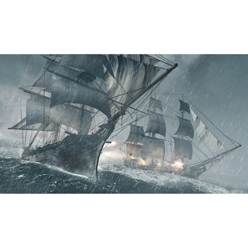  Assassins Creed IV: Black Flag, Ubisoft, PlayStation 4, 008888358114