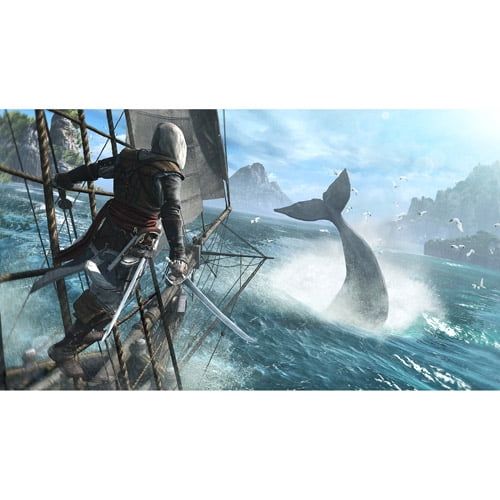  Assassins Creed IV: Black Flag, Ubisoft, PlayStation 4, 008888358114