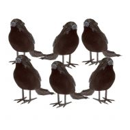 Unbranded 6pk Black Feathered Small Crows Birds Ravens Props Decor Halloween Decorations