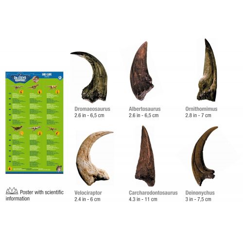  Uncle Milton Dr. Steve Hunters - Dino Claws Replica Collection 6 Piece Scientific Educational Toy
