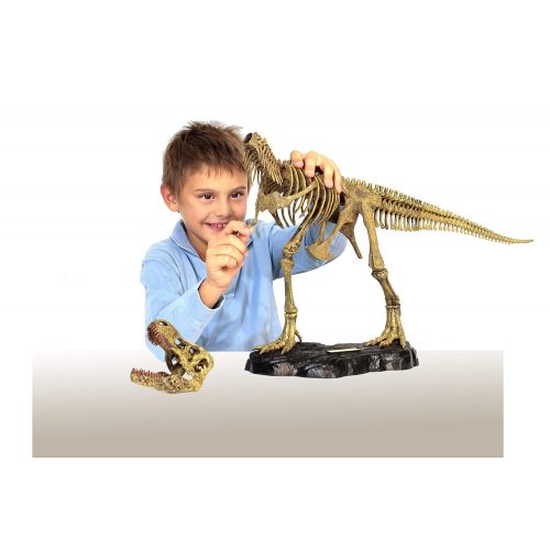  Uncle Milton Dr. Steve Hunters - T. Rex Replica Skeleton - 21Piece - 1: 15 Scale - 30 - Scientific Educational Toy