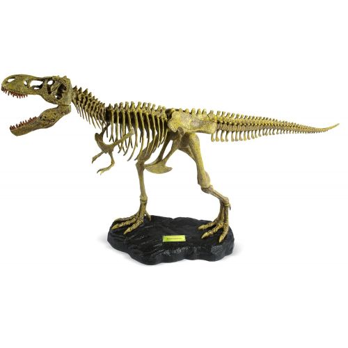  Uncle Milton Dr. Steve Hunters - T. Rex Replica Skeleton - 21Piece - 1: 15 Scale - 30 - Scientific Educational Toy