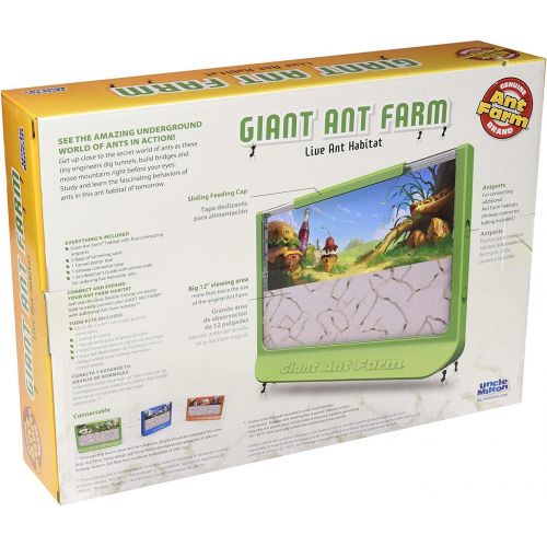  [아마존베스트]Uncle Milton Giant Ant Farm - Large Viewing Area - Care for Live Ants - Nature Learning Toy