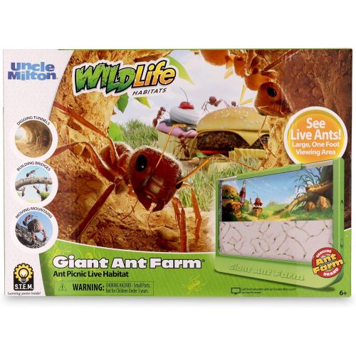  [아마존베스트]Uncle Milton Giant Ant Farm - Large Viewing Area - Care for Live Ants - Nature Learning Toy - Science DIY Toy Kit - Great Gift for Boys & Girls