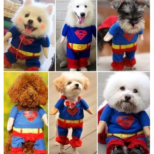  Couture Pet Apparel Superhero Costume Superman Dog Coat Clothes Size XS by Unknown