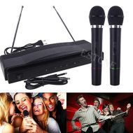 Unknown NEW PRO WIRELESS DUAL MICROPHONE SYSTEM AUDIO HANDHELD 2 x MIC CORDLESS RECEIVER