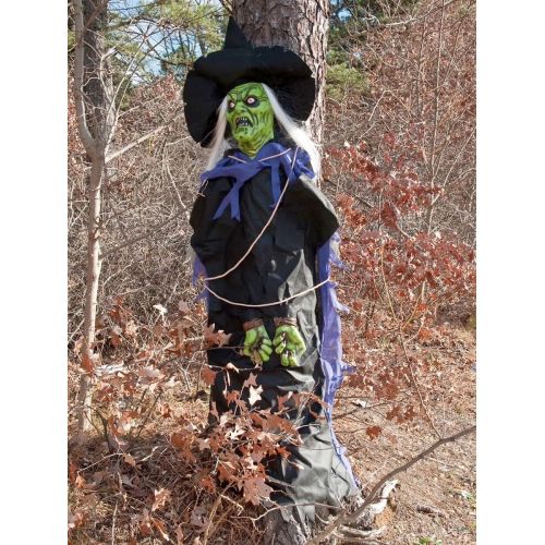 제네릭 Generic Tree Hugger Witch Halloween Accessory