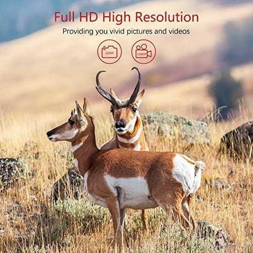  [아마존베스트]VANBAR Wildlife Camera 20MP 1080 Full HD Wildlife Camera with Motion Sensor Night Vision IP66 Waterproof and 0.2s Fast Trigger Speed Night Vision Wildlife Camera for Monitoring Wil