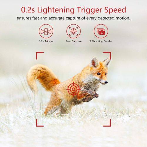  [아마존베스트]VANBAR Wildlife Camera 20MP 1080 Full HD Wildlife Camera with Motion Sensor Night Vision IP66 Waterproof and 0.2s Fast Trigger Speed Night Vision Wildlife Camera for Monitoring Wil