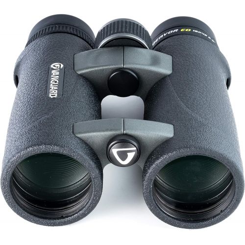  VANGUARD Endeavor ED 10x42 Binocular, ED Glass, Waterproof/Fogproof, Black (ENDEAVOR ED 1042)